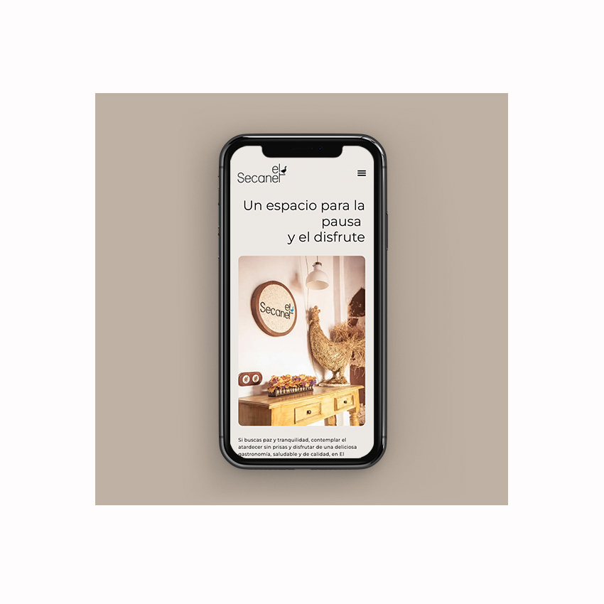 Diseño web responsive El Secanet