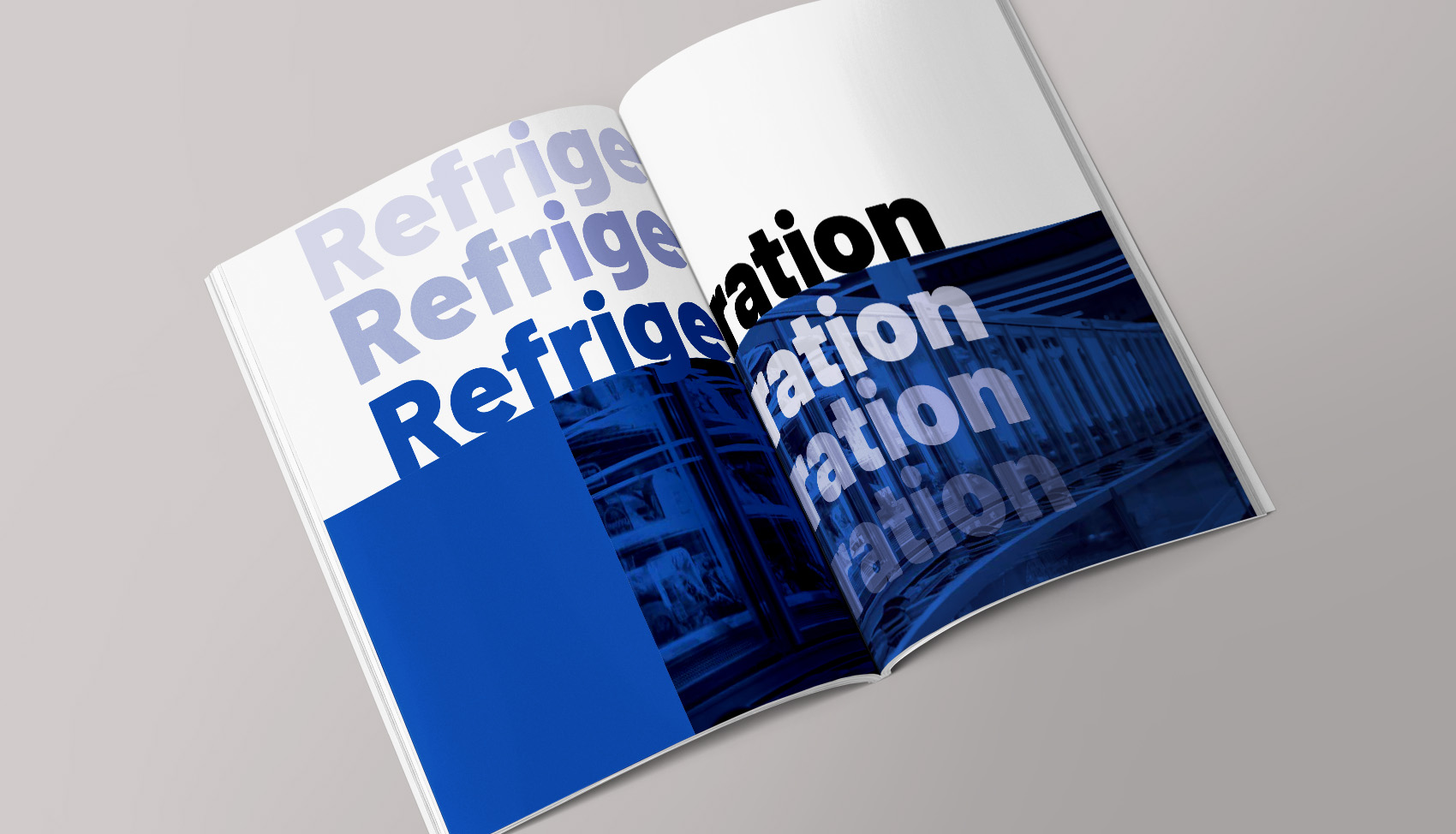 Diseño editoral. Diseño web